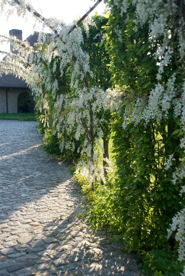 Villami Anzegem Exterior foto